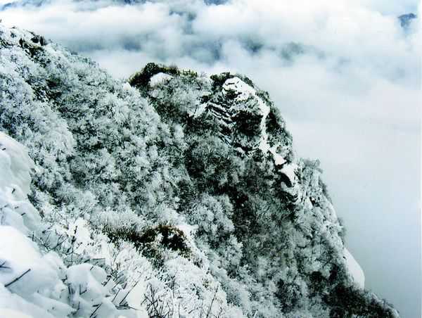 九宫山雪景(雪雁鸣摄)(19).jpg