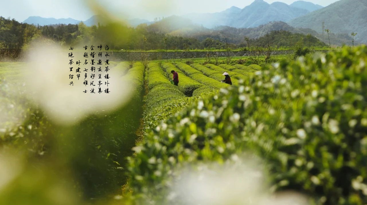 2,七绝茶里绍兴 时建华 古越名山多雅士,会稽墨韵好. 呼朋邀友兰