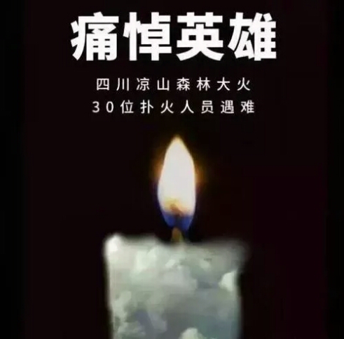 1554484191920930.jpg 微信图片_20190405004248.jpg