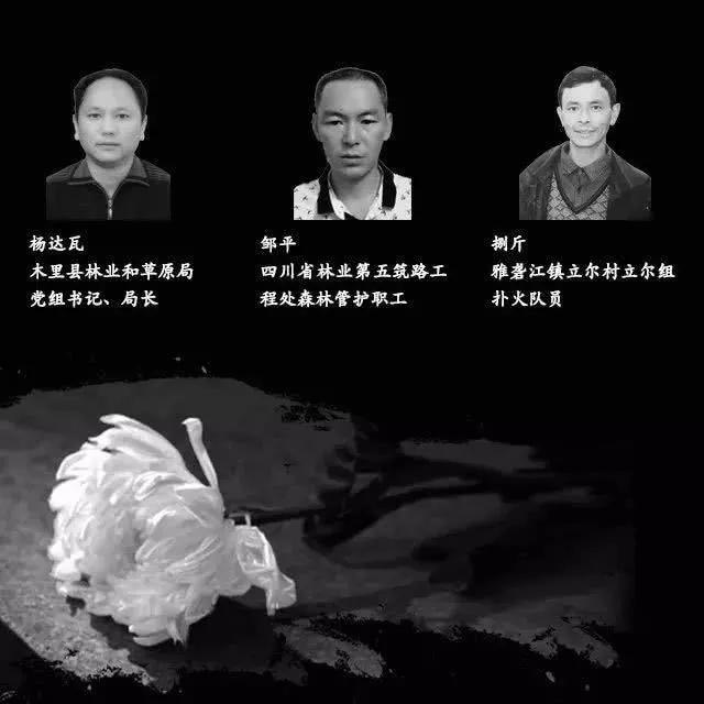 1554485064344477.jpg 微信图片_20190404235250.jpg