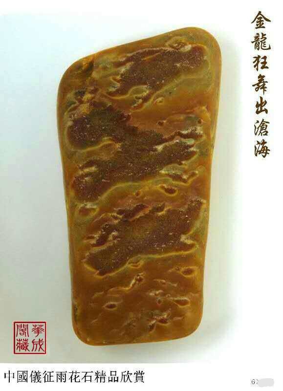 1560228024530390.jpg GAI.jpg