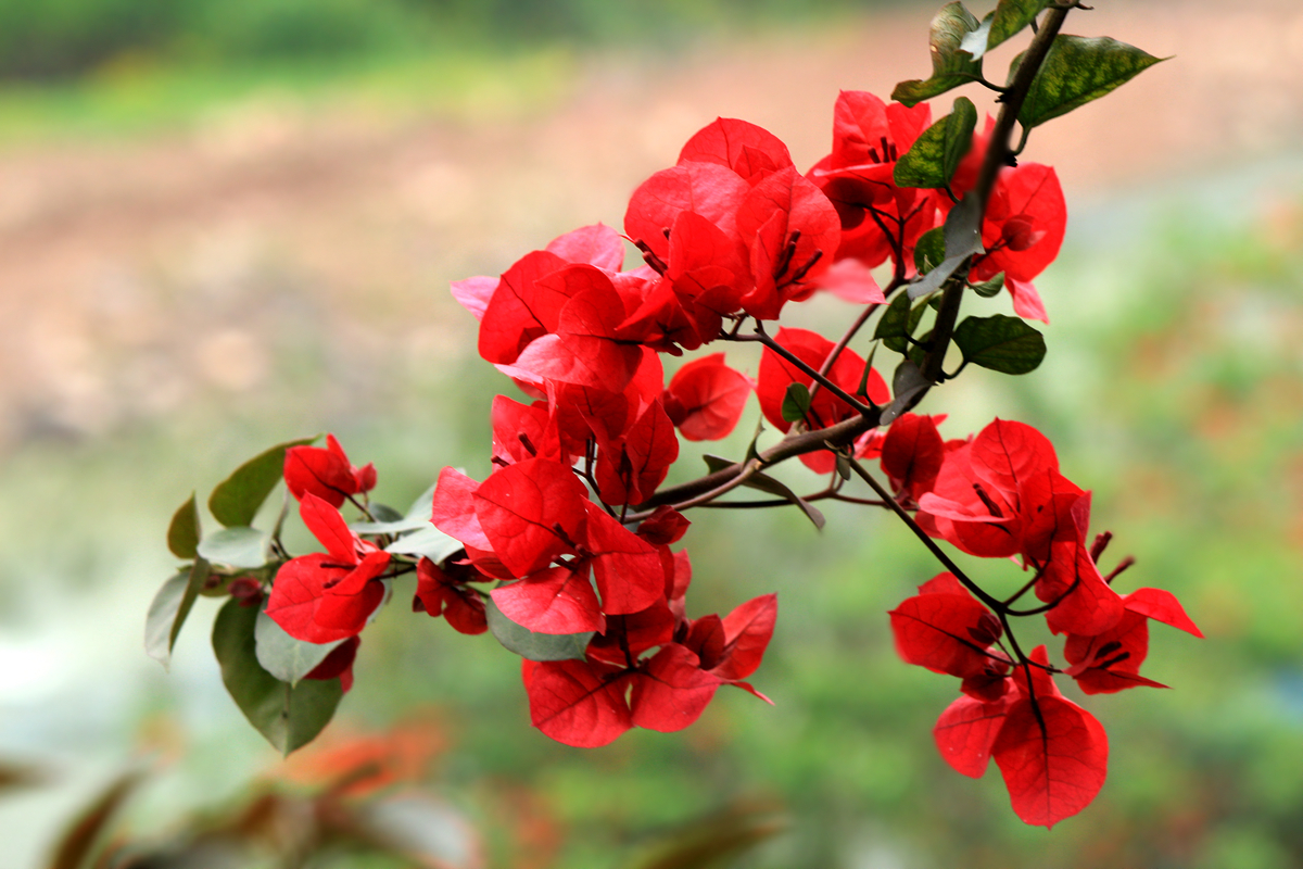 1564311273831087.png 图片1.png