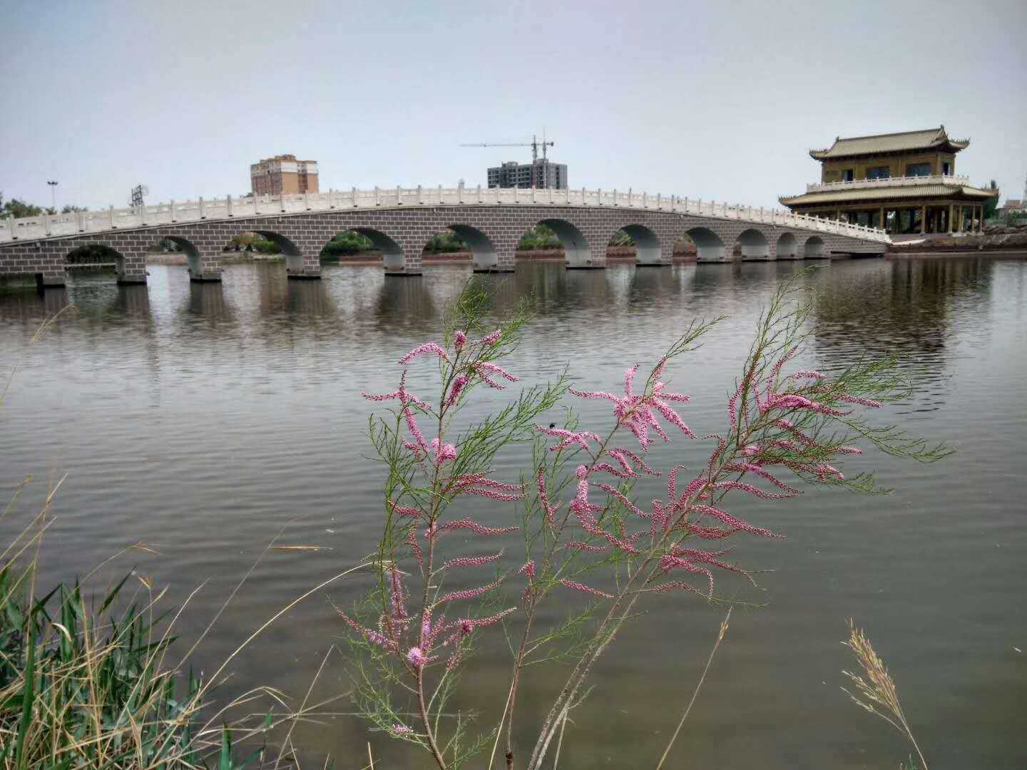 1582683698780847.jpg 望秦安水上公园.jpg