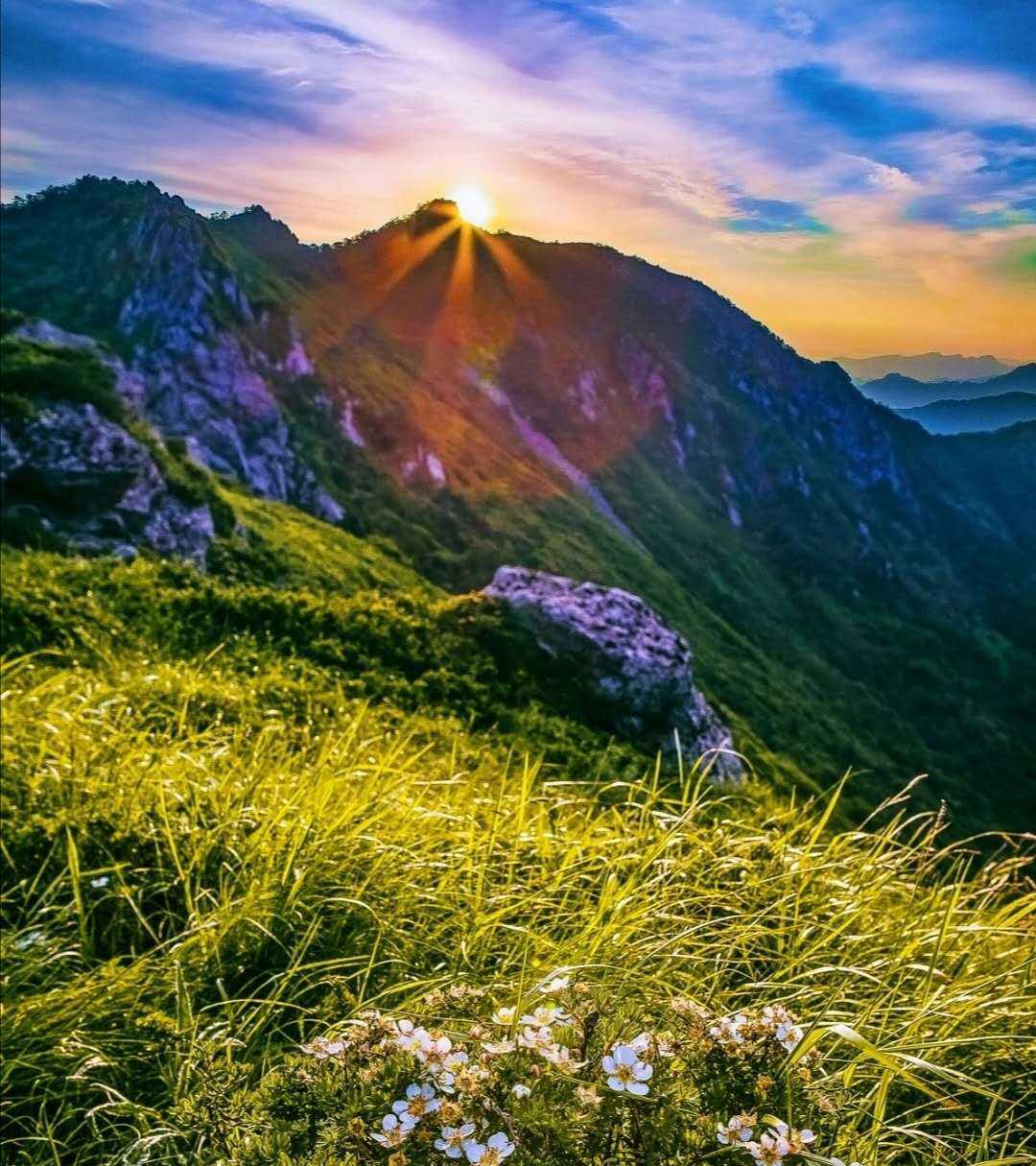 高鸿:把春天寄养在文字里(组诗)