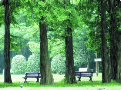 走出怀旧的泥淖(散文)