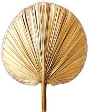 儿时的去暑神器蒲扇