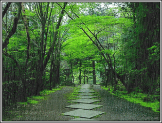 夏雨风景.gif