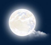 丹江映月的头像